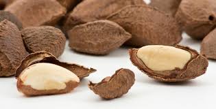 Chestnut - Integra Foods